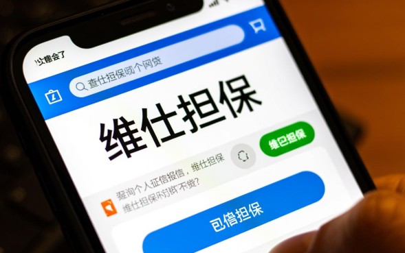维仕担保和维信金科什么关系