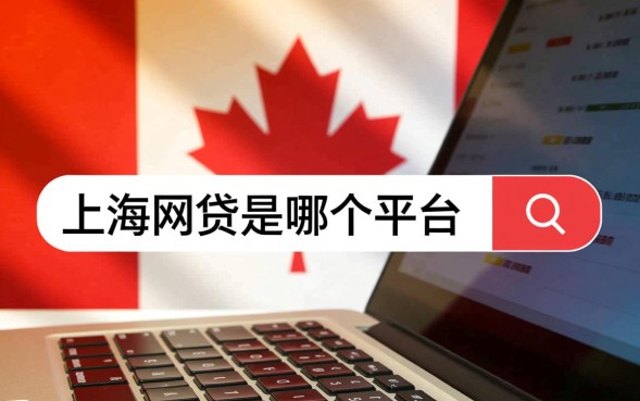 上海网贷是哪个平台,上海正规网贷平台有哪些? 上海正规网贷平台有哪些