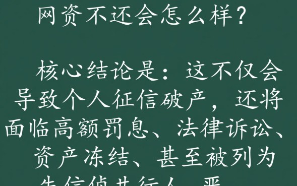 网贷不还会带来哪些严重后果