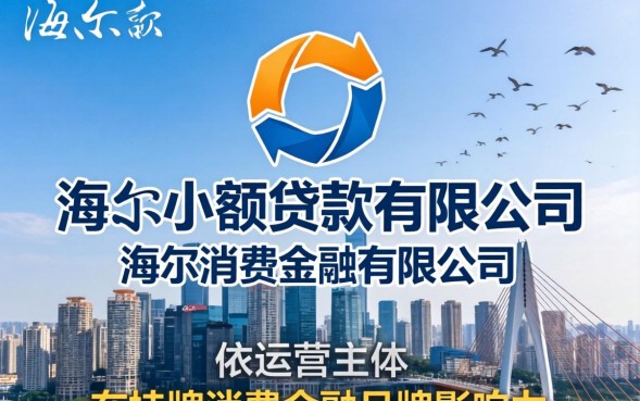 重庆海尔小额贷款有限公司正规吗