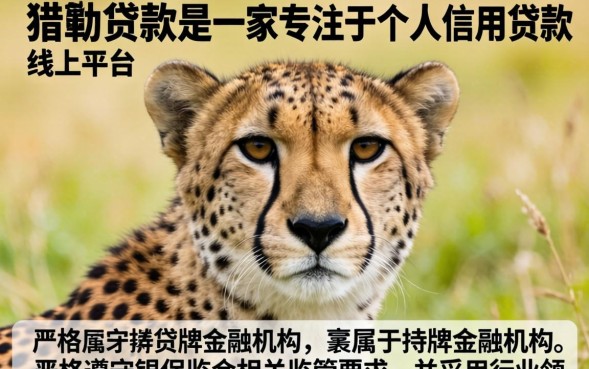 猎豹贷款怎么样
