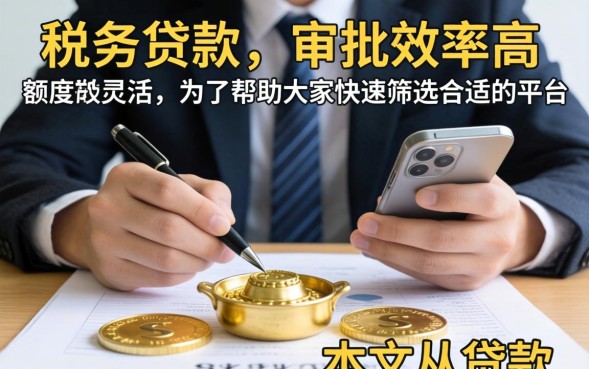 企业税务贷款额度及利率解析
