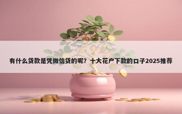 有什么贷款是凭微信贷的呢？十大花户下款的口子2025推荐