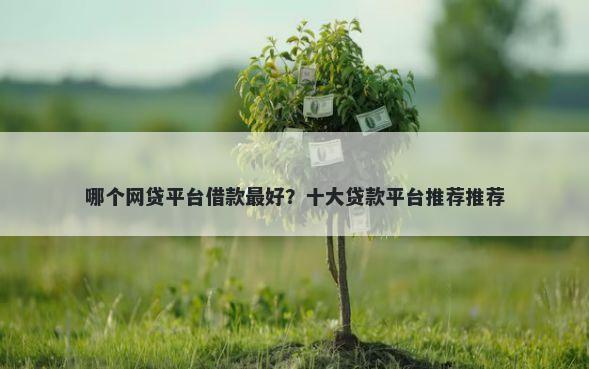 哪个网贷平台借款最好？十大贷款平台推荐推荐
