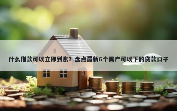什么借款可以立即到账？盘点最新6个黑户可以下的贷款口子