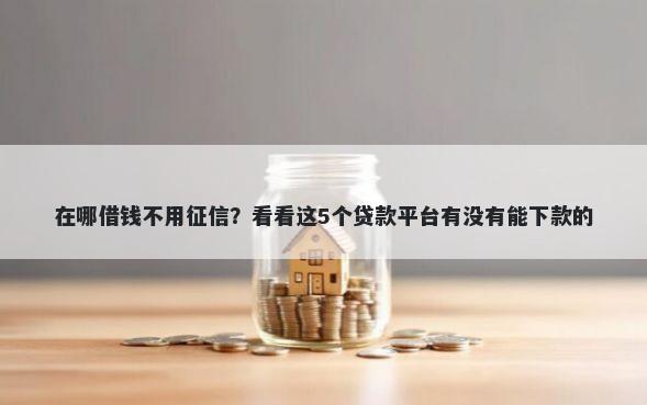 在哪借钱不用征信?看看这5个贷款平台有没有能下款的