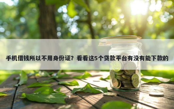 手机借钱所以不用身份证？看看这5个贷款平台有没有能下款的