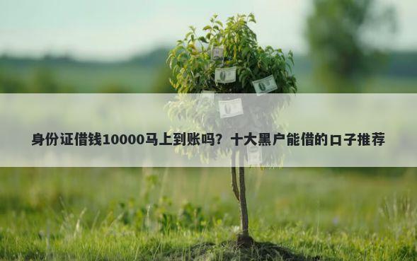 身份证借钱10000马上到账吗？十大黑户能借的口子推荐