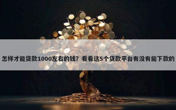 怎样才能贷款1000左右的钱？看看这5个贷款平台有没有能下款的