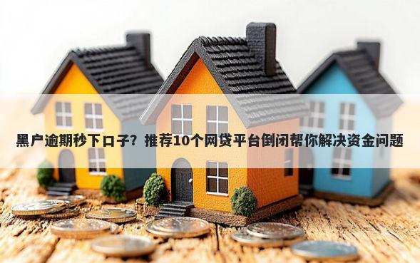 黑户逾期秒下口子？推荐10个网贷平台倒闭帮你解决资金问题