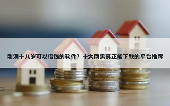 刚满十八岁可以借钱的软件？十大网黑真正能下款的平台推荐