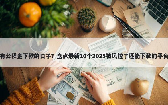 有公积金下款的口子？盘点最新10个2025被风控了还能下款的平台