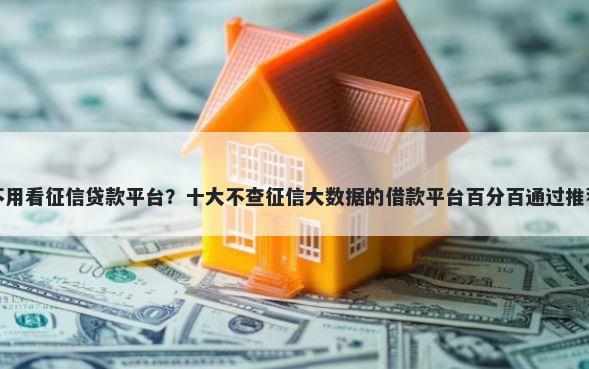 不用看征信贷款平台？十大不查征信大数据的借款平台百分百通过推荐