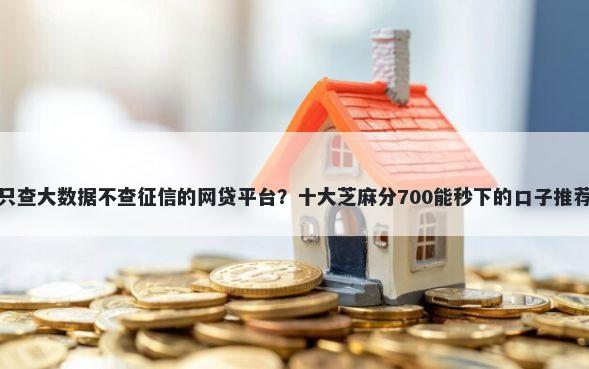 只查大数据不查征信的网贷平台？十大芝麻分700能秒下的口子推荐