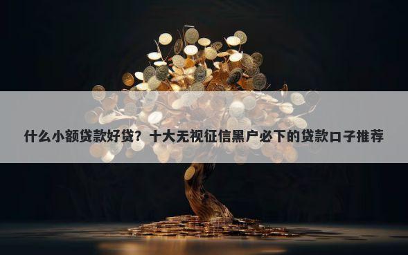 什么小额贷款好贷？十大无视征信黑户必下的贷款口子推荐