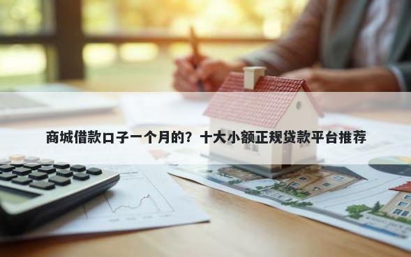 商城借款口子一个月的？十大小额正规贷款平台推荐