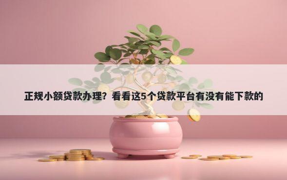 正规小额贷款办理?看看这5个贷款平台有没有能下款的