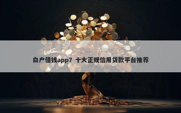 白户借钱app？十大正规信用贷款平台推荐