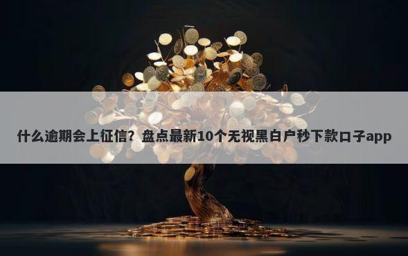 什么逾期会上征信？盘点最新10个无视黑白户秒下款口子app