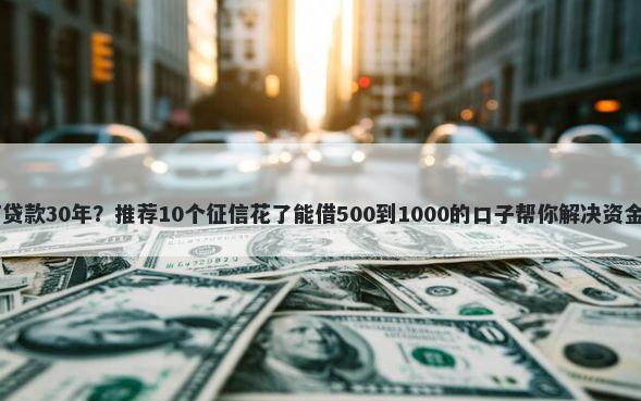 40万贷款30年?推荐10个征信花了能借500到1000的口子帮你解决资金问题