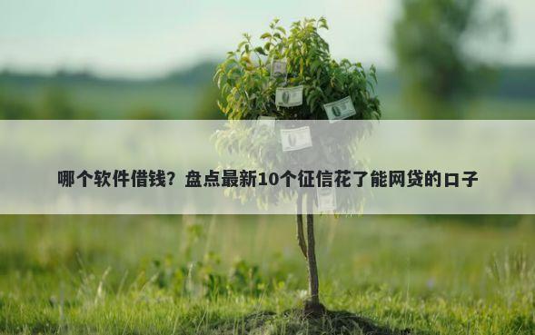 哪个软件借钱?盘点最新10个征信花了能网贷的口子