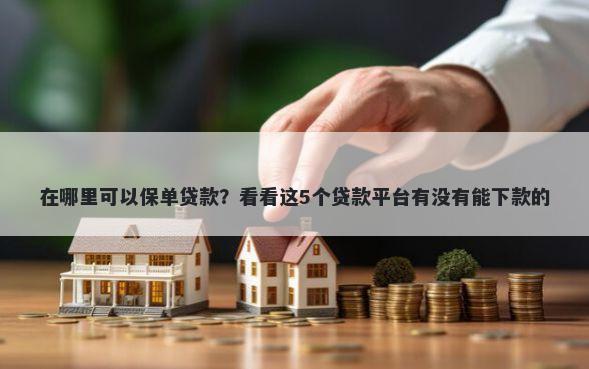 在哪里可以保单贷款？看看这5个贷款平台有没有能下款的