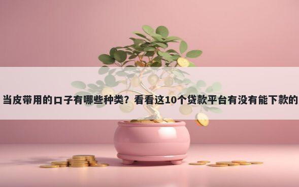 当皮带用的口子有哪些种类？看看这10个贷款平台有没有能下款的