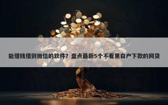 能借钱借到微信的软件？盘点最新5个不看黑白户下款的网贷