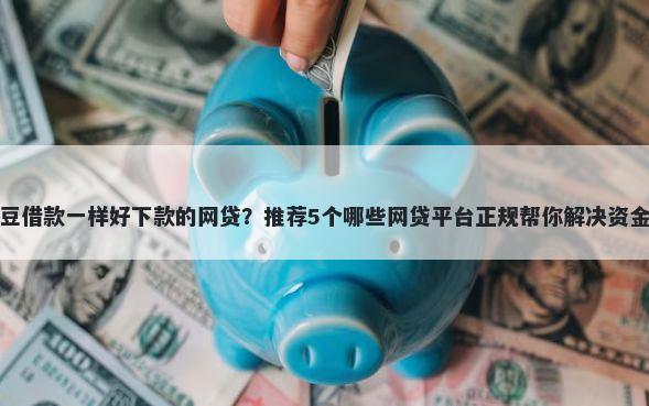 跟芸豆借款一样好下款的网贷？推荐5个哪些网贷平台正规帮你解决资金问题