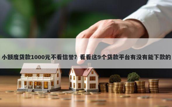 小额度贷款1000元不看信誉？看看这9个贷款平台有没有能下款的