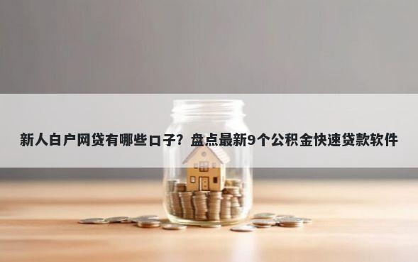 新人白户网贷有哪些口子？盘点最新9个公积金快速贷款软件