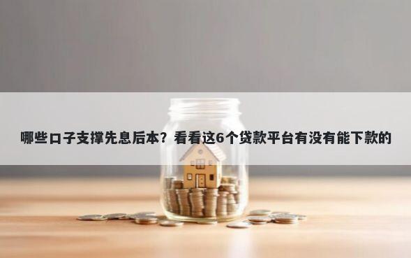 哪些口子支撑先息后本？看看这6个贷款平台有没有能下款的