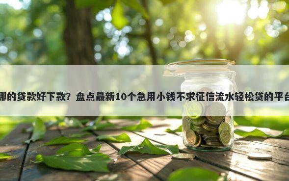 哪的贷款好下款？盘点最新10个急用小钱不求征信流水轻松贷的平台