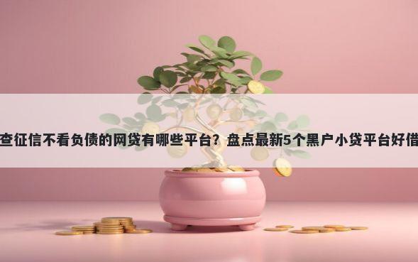 不查征信不看负债的网贷有哪些平台？盘点最新5个黑户小贷平台好借款