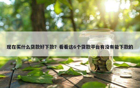 现在买什么贷款好下款？看看这6个贷款平台有没有能下款的