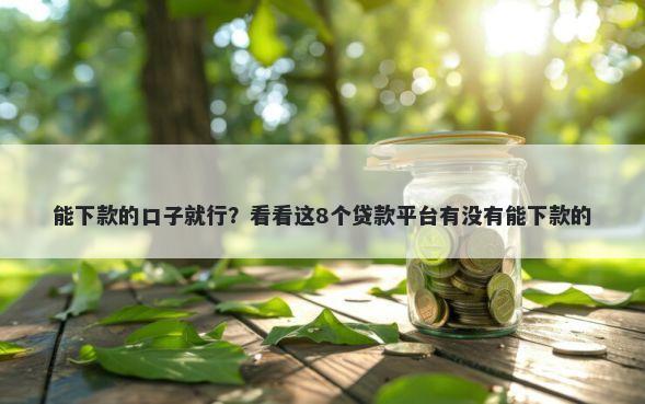 能下款的口子就行？看看这8个贷款平台有没有能下款的