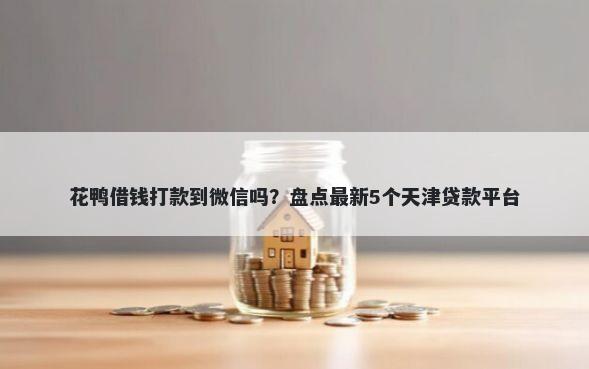 花鸭借钱打款到微信吗？盘点最新5个天津贷款平台