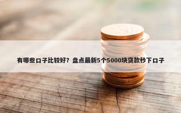 有哪些口子比较好？盘点最新5个5000块贷款秒下口子