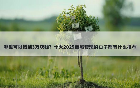 哪里可以借到3万块钱？十大2025商城套现的口子都有什么推荐