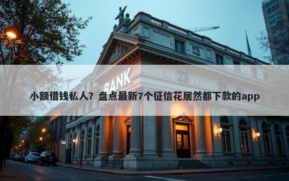 小额借钱私人？盘点最新7个征信花居然都下款的app