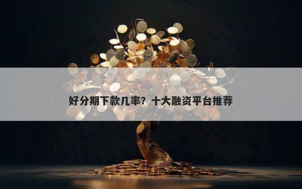 好分期下款几率？十大融资平台推荐