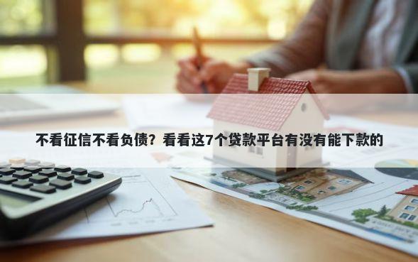 不看征信不看负债？看看这7个贷款平台有没有能下款的