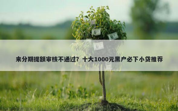 来分期提额审核不通过？十大1000元黑户必下小贷推荐