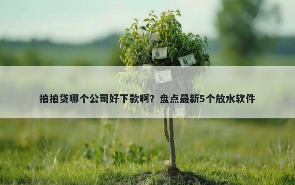 拍拍贷哪个公司好下款啊？盘点最新5个放水软件