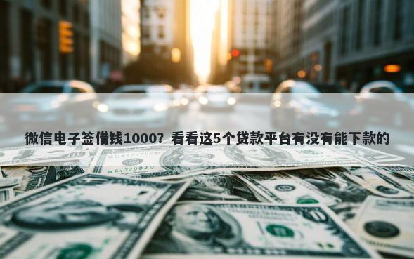 微信电子签借钱1000？看看这5个贷款平台有没有能下款的