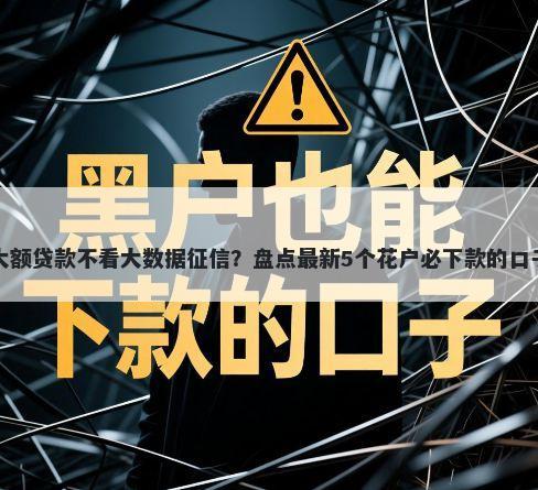 大额贷款不看大数据征信？盘点最新5个花户必下款的口子
