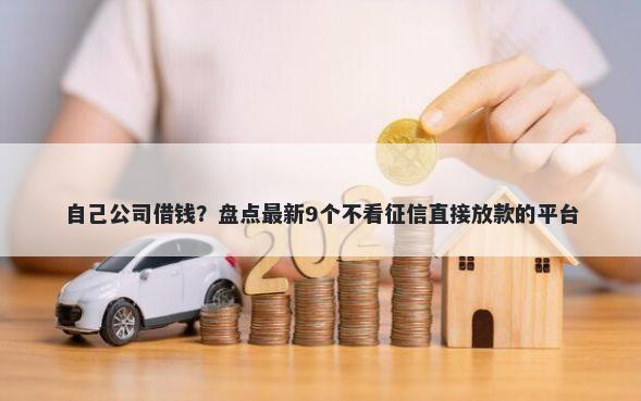 自己公司借钱？盘点最新9个不看征信直接放款的平台