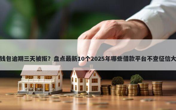 开心钱包逾期三天被拒？盘点最新10个2025年哪些借款平台不查征信大数据