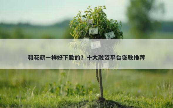 和花薪一样好下款的？十大融资平台贷款推荐