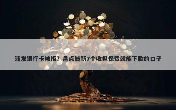 浦发银行卡被拒？盘点最新7个收担保费就能下款的口子